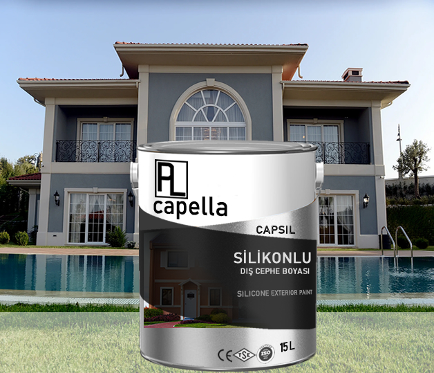 CAPPELLA_SILIKONLU_DIS_CEPHE_BOYASI Argemia boya kimya mantolama malzemesi